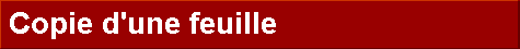  Copie d'une feuille 
