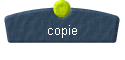 copie 