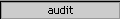 audit
