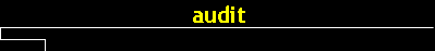audit