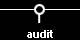 audit