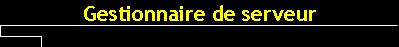 Gestionnaire de serveur