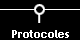 Protocoles