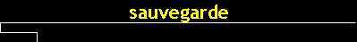 sauvegarde