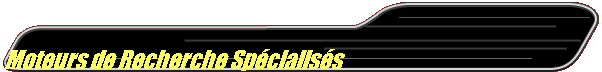 Moteurs de Recherche Spcialiss